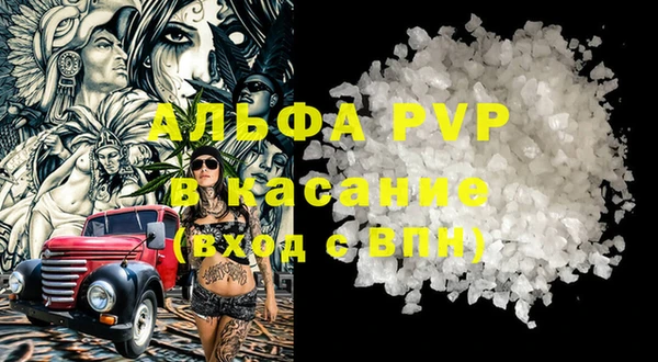 твердый Магас