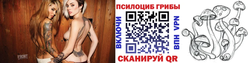 купить закладку  Королёв  Галлюциногенные грибы мухоморы 